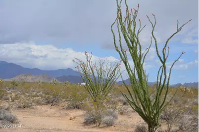 207-17169A Cherry Rd, Yucca, AZ 86438 - Photo 20