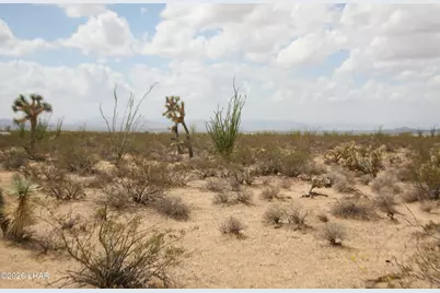207-17169A Cherry Rd, Yucca, AZ 86438 - Photo 12