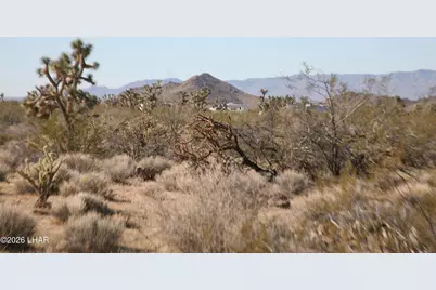 244-09137A Martin Dr, Yucca, AZ 86438 - Photo 52