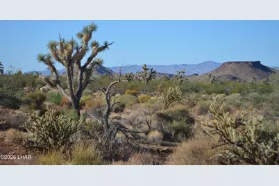 244-09137A Martin Dr, Yucca, AZ 86438 - Photo 4