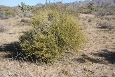 244-09137A Martin Dr, Yucca, AZ 86438 - Photo 30