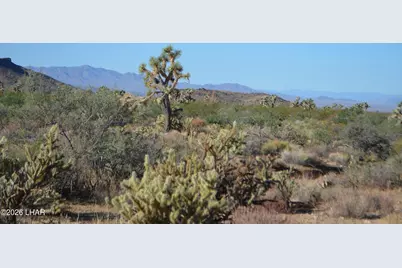 244-09137A Martin Dr, Yucca, AZ 86438 - Photo 6