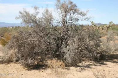 244-09137A Martin Dr, Yucca, AZ 86438 - Photo 78