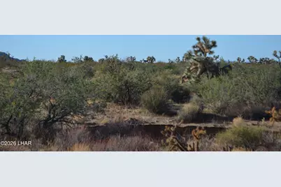 244-09137A Martin Dr, Yucca, AZ 86438 - Photo 2