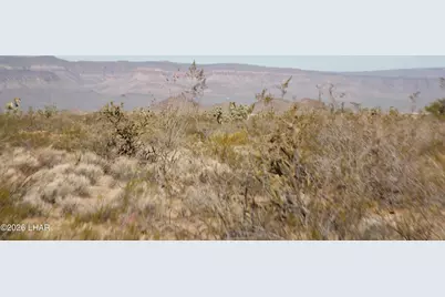 244-09137A Martin Dr, Yucca, AZ 86438 - Photo 62