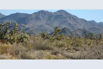 244-09137A Martin Dr, Yucca, AZ 86438 - Photo 42