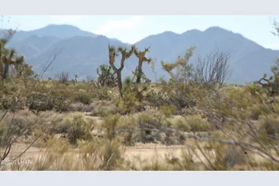 244-09137A Martin Dr, Yucca, AZ 86438 - Photo 46