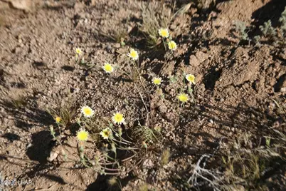 244-09137A Martin Dr, Yucca, AZ 86438 - Photo 28