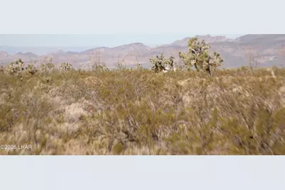 244-09137A Martin Dr, Yucca, AZ 86438 - Photo 60