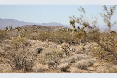 244-09137A Martin Dr, Yucca, AZ 86438 - Photo 56
