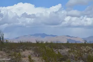 165/166 Cherry Rd, Yucca, AZ 86438 - Photo 1