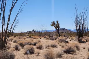 Lot 135 E Mission Rd, Yucca, AZ 86438 - Photo 1