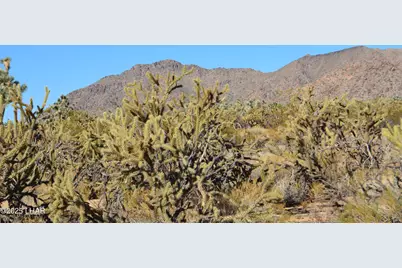 11872 Suzette Rd, Yucca, AZ 86438 - Photo 1