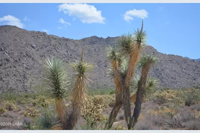 11869 Central Rd, Yucca, AZ 86438 - Photo 1