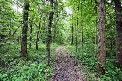 27015 50th St, Bangor, MI 49013 - Photo 2