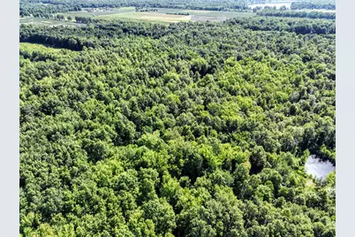 27015 50th St, Bangor, MI 49013 - Photo 22