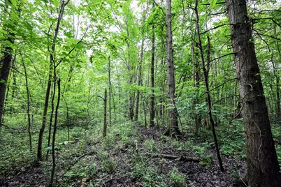 27015 50th St, Bangor, MI 49013 - Photo 30