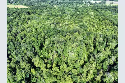 27015 50th St, Bangor, MI 49013 - Photo 24