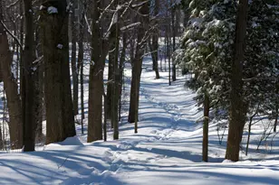 8532 Brighten Trail, Mattawan, MI 49071 - Photo 26