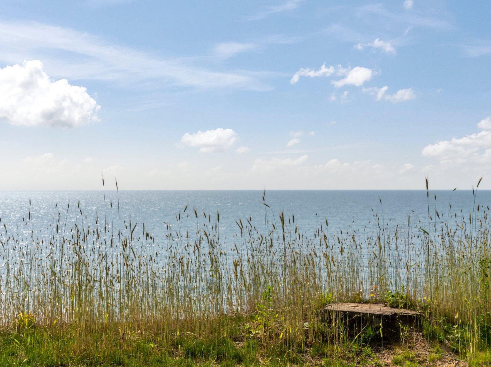 5018 Fox Farm Rd, Stronach MI 49660-9538 exterior