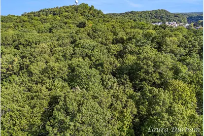 Vl Park Street, Saugatuck, MI 49453 - Photo 10