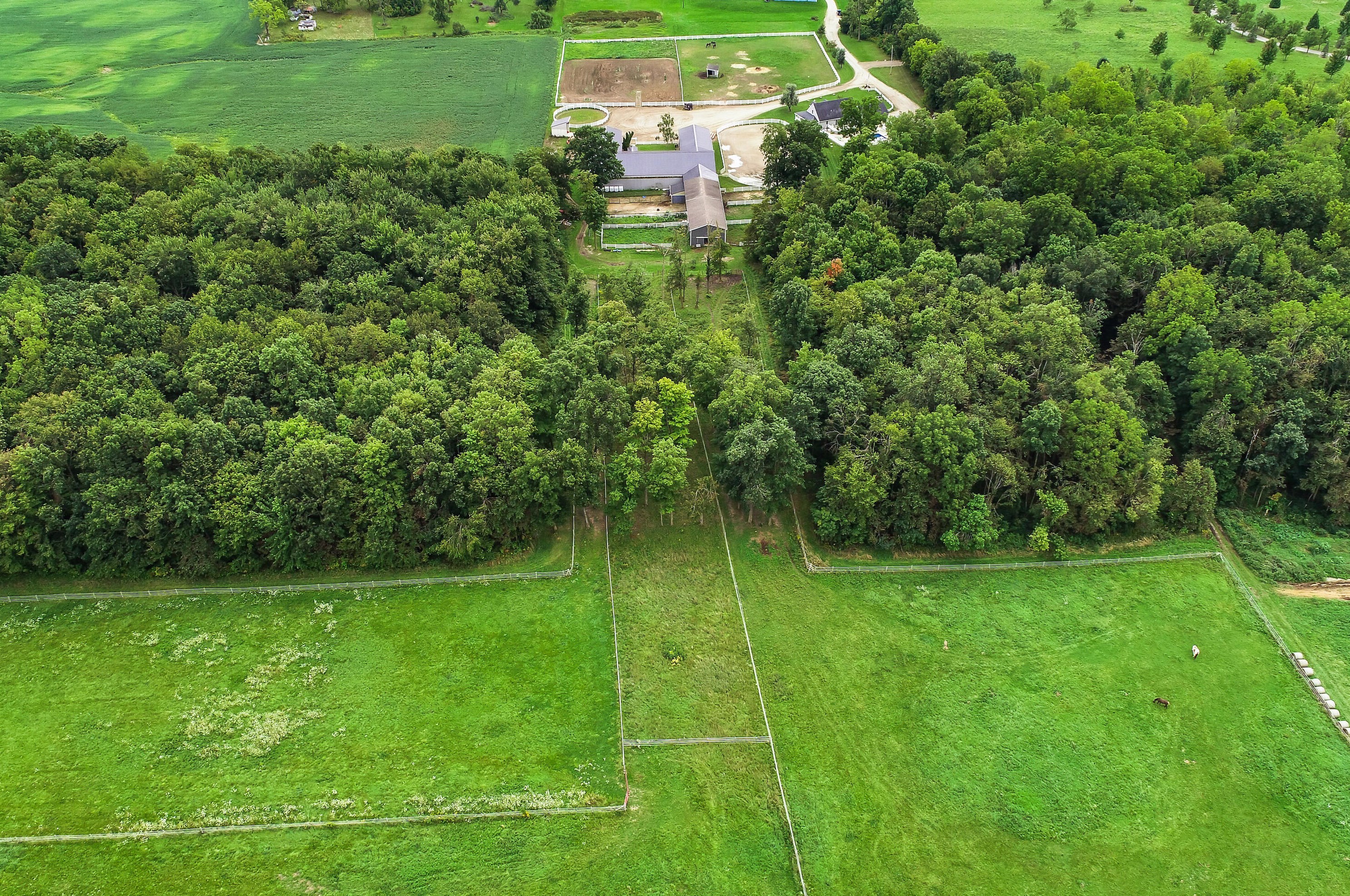 1300 Monroe Rd, Tecumseh MI 49286-9728 exterior