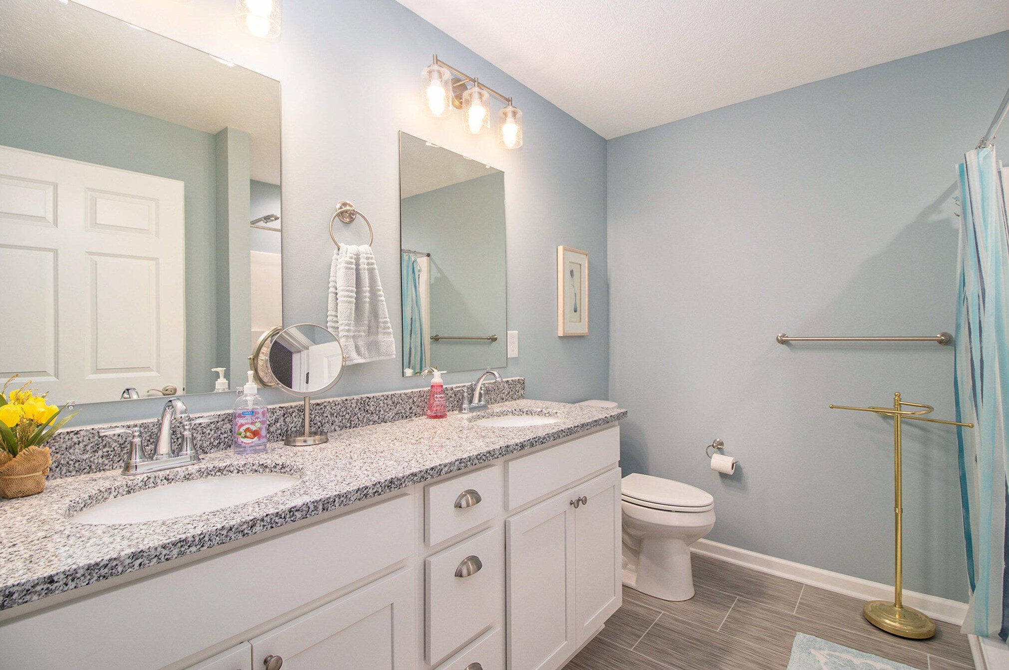 423 Constitution Ave, Brooklyn MI  49230-9433 exterior