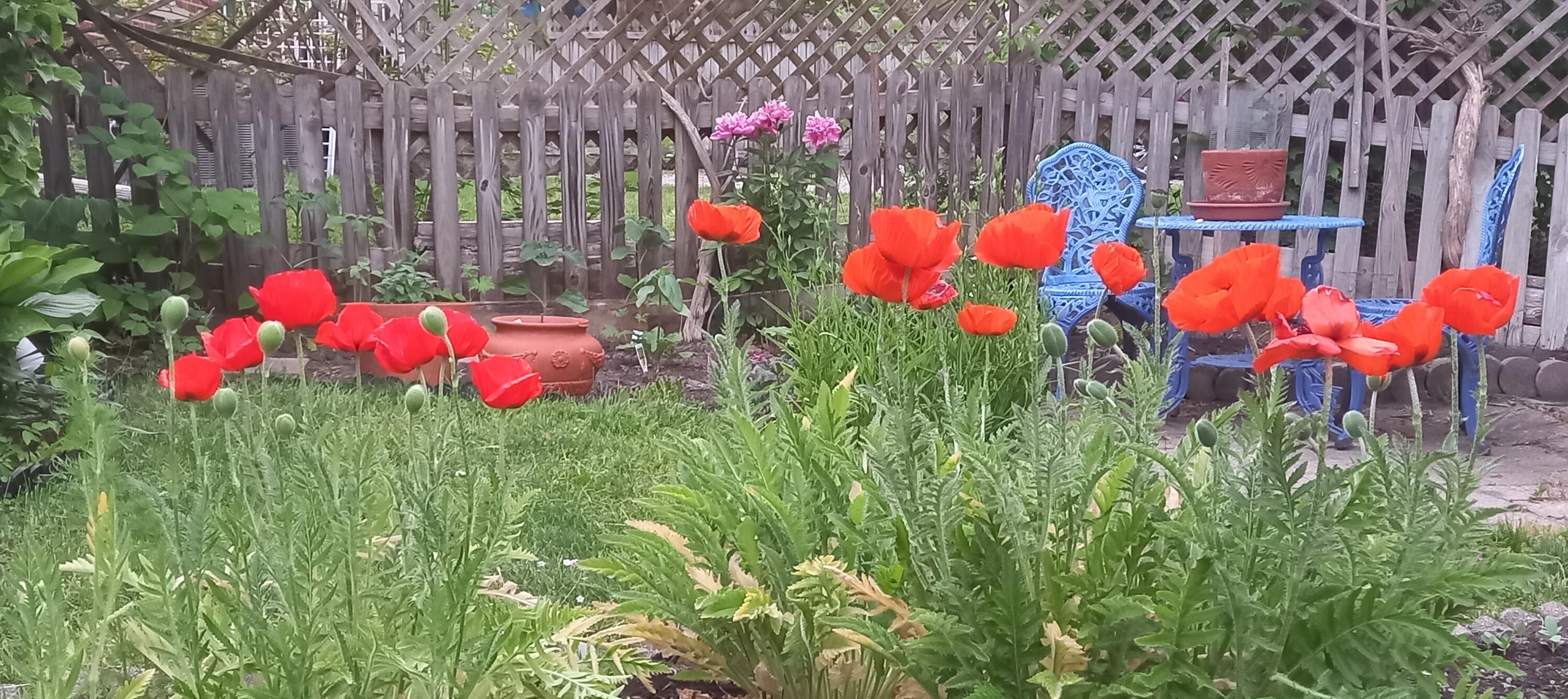 1608 Dexter Ave, Ann Arbor MI 48103-4005 exterior