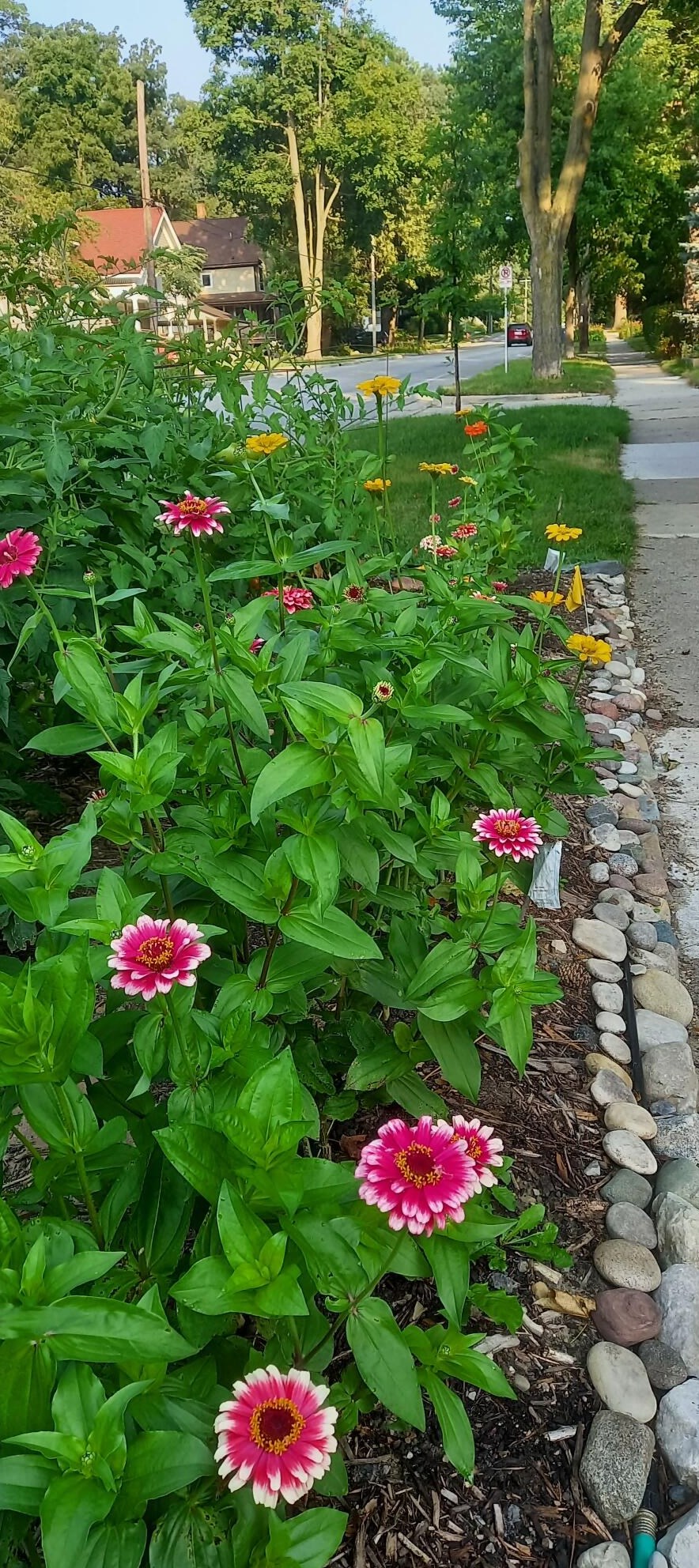 1608 Dexter Ave, Ann Arbor MI 48103-4005 exterior