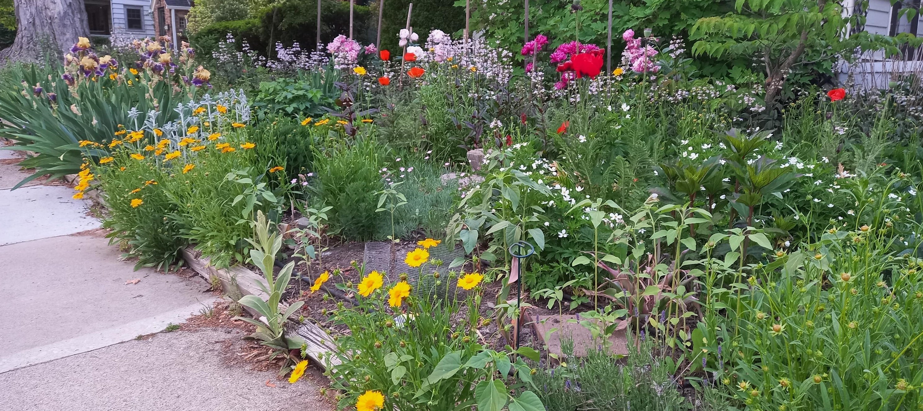 1608 Dexter Ave, Ann Arbor MI 48103-4005 exterior