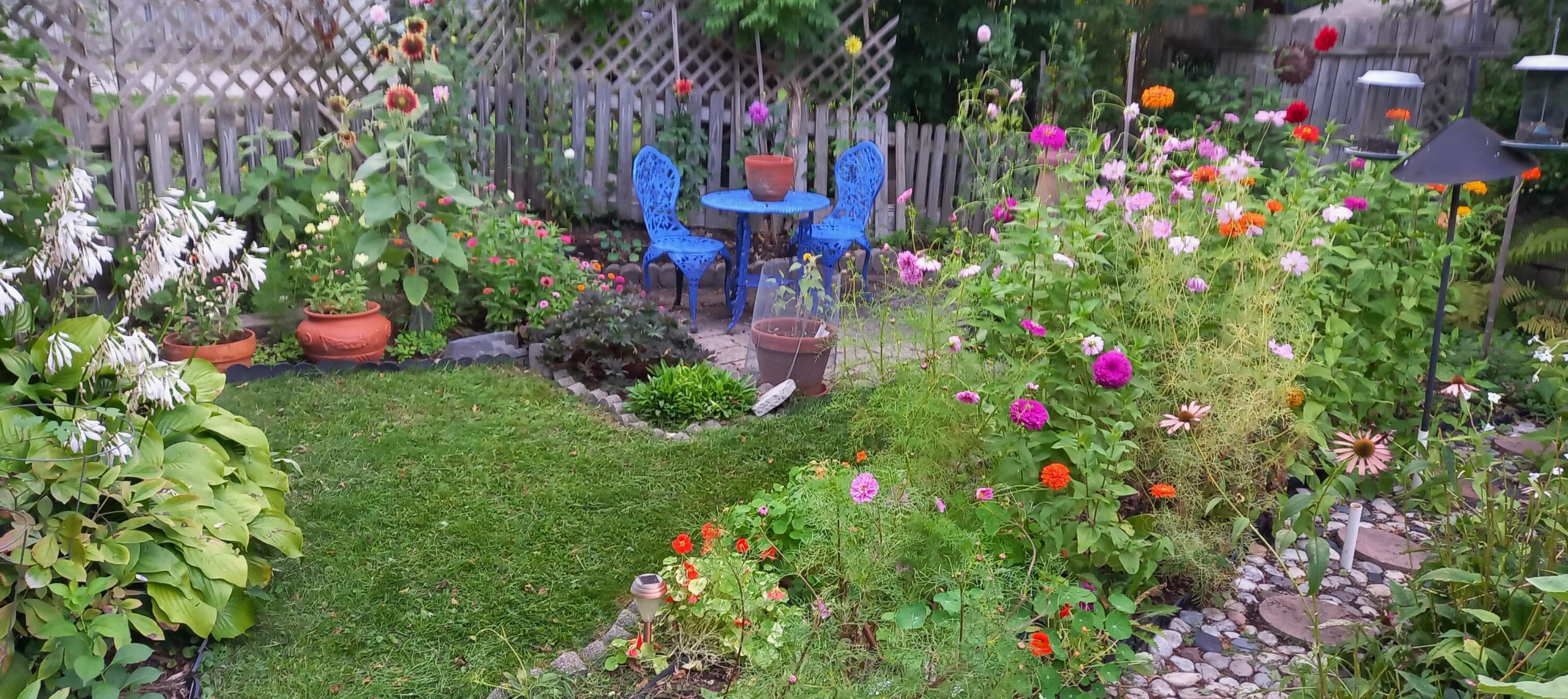 1608 Dexter Ave, Ann Arbor MI 48103-4005 exterior