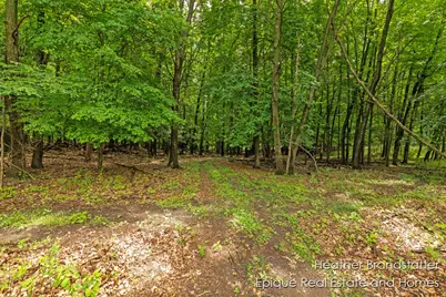 4323 Woodside Oaks Drive SE, Grand Rapids, MI 49546 - Photo 4