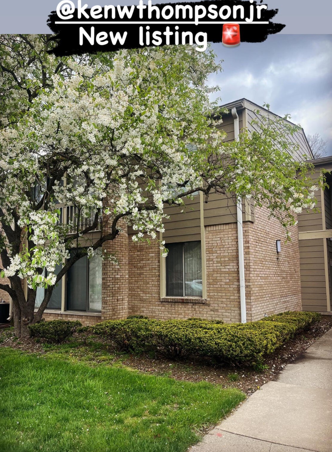 22350 Lucerne Dr #202, Southfield, MI 48075