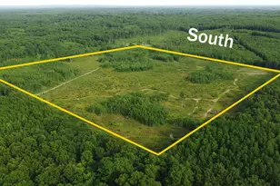 E Freesoil Rd, Free Soil, MI 49411 - Photo 8