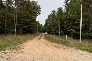 E Freesoil Rd, Free Soil, MI 49411 - Photo 4