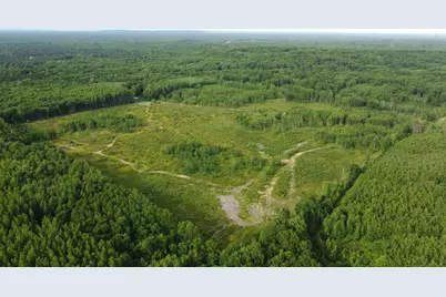 E Freesoil Road #40 acres, Free Soil, MI 49411 - Photo 12