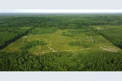 E Freesoil Road #40 acres, Free Soil, MI 49411 - Photo 16