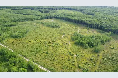 E Freesoil Road #40 acres, Free Soil, MI 49411 - Photo 20