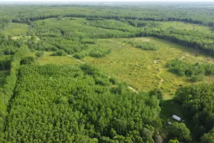 E Freesoil Rd, Free Soil, MI 49411 - Photo 10