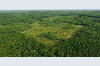 E Freesoil Road #40 acres, Free Soil, MI 49411 - Photo 18