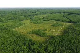 E Freesoil Rd, Free Soil, MI 49411 - Photo 18