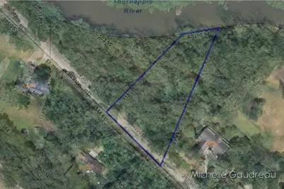 Vl W Irving Road, Hastings, MI 49058 - Photo 4