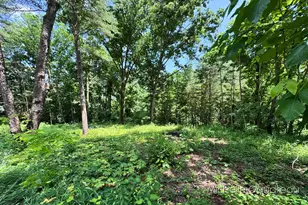 Vl W Irving Rd, Hastings, MI 49058 - Photo 1