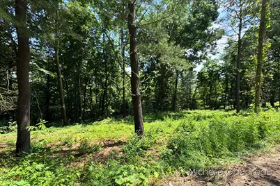 Vl W Irving Road, Hastings, MI 49058 - Photo 2