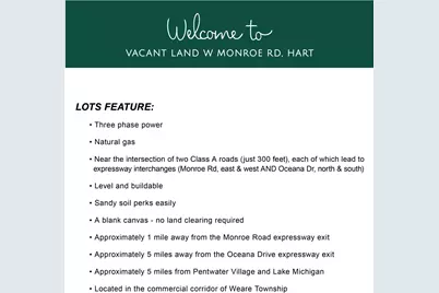 3308 W Monroe Road #Lot A - 2.18 Acres, Hart, MI 49420 - Photo 6