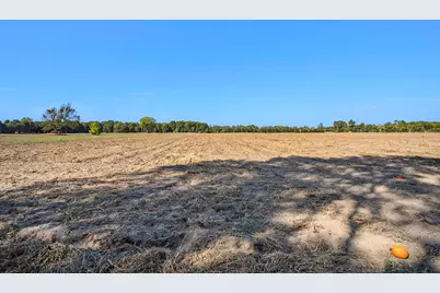3308 W Monroe Road #Lot B - 23.56 Acres, Hart, MI 49420 - Photo 14