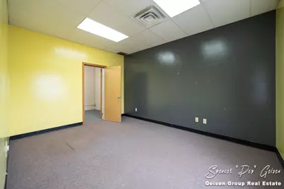 407 Nelson Street, Greenville, MI 48838 - Photo 24