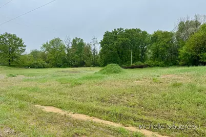 Parcel 1 Leaf Lane, Freeport, MI 49325 - Photo 4