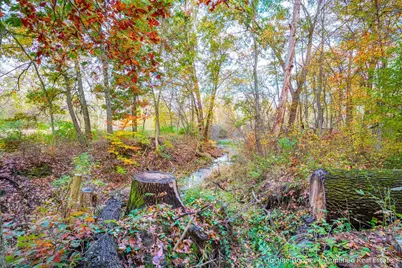 V/L M-79 Hwy, Hastings, MI 49058 - Photo 16