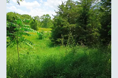 0 Huggins Road, Michigan Center, MI 49254 - Photo 2